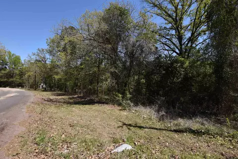 17452 Pine Dr, Lindale, TX 75771 photo 13