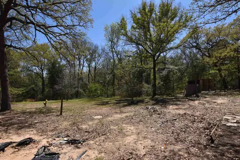17452 Pine Dr, Lindale, TX 75771 photo 6