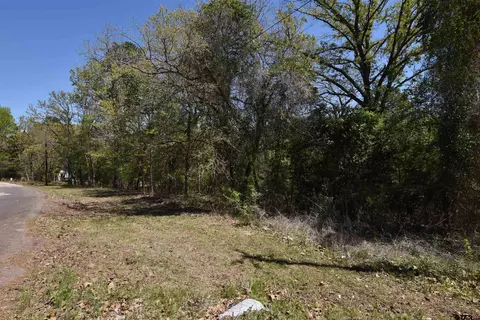 17452 Pine Dr, Lindale, TX 75771 photo 14