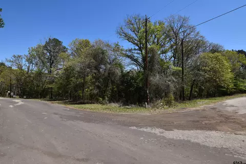 17452 Pine Dr, Lindale, TX 75771 photo 20