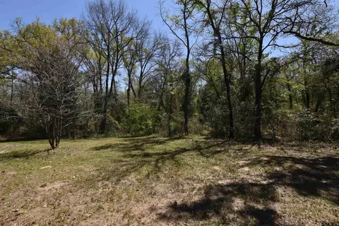 17452 Pine Dr, Lindale, TX 75771 photo 8