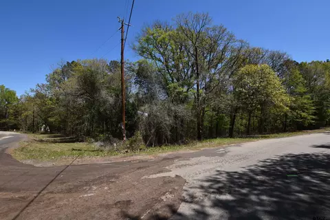 17452 Pine Dr, Lindale, TX 75771 photo 18