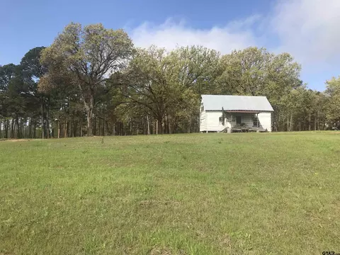 9561 Locust Rd, Big Sandy, TX 75755 photo 2