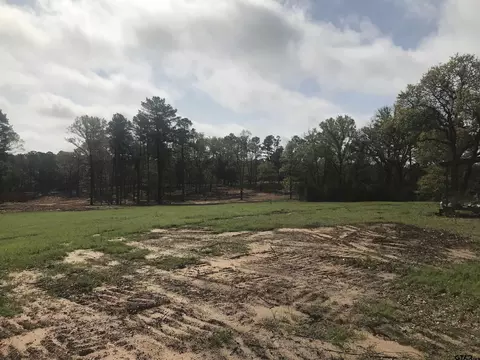 9561 Locust Rd, Big Sandy, TX 75755 photo 15