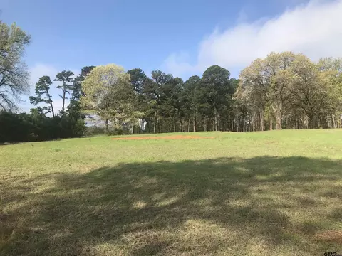 9561 Locust Rd, Big Sandy, TX 75755 photo 8