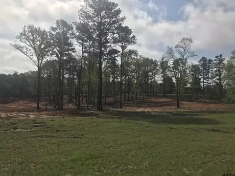 9561 Locust Rd, Big Sandy, TX 75755 photo 16