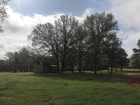 9561 Locust Rd, Big Sandy, TX 75755 photo 11