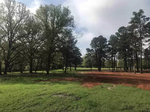 9561 Locust Rd, Big Sandy, TX 75755 photo 12