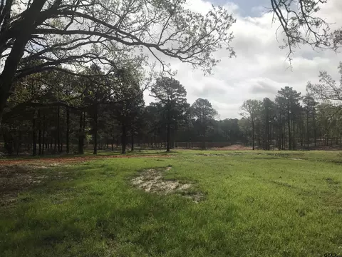 9561 Locust Rd, Big Sandy, TX 75755 photo 13