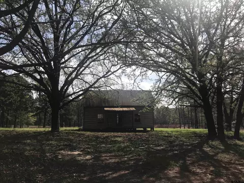 9561 Locust Rd, Big Sandy, TX 75755 photo 9