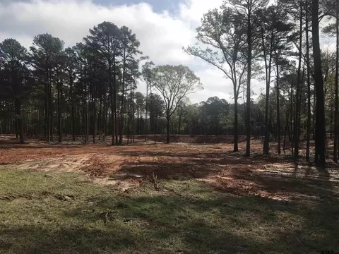 9561 Locust Rd, Big Sandy, TX 75755 photo 3