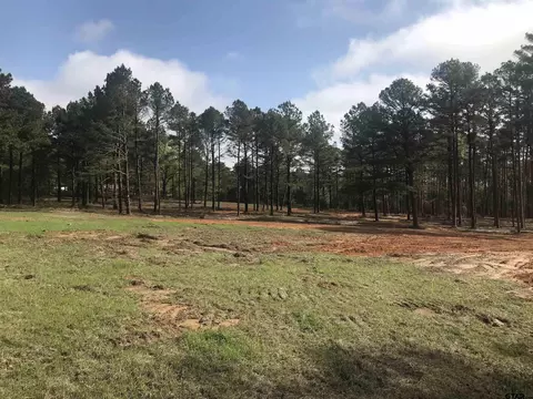 9561 Locust Rd, Big Sandy, TX 75755 photo 5