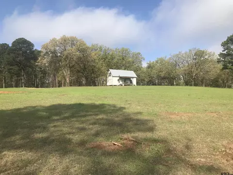 9561 Locust Rd, Big Sandy, TX 75755 photo 7