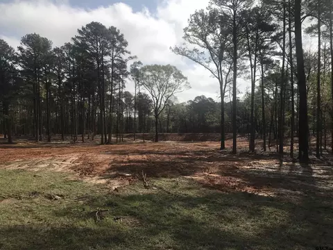9561 Locust Rd, Big Sandy, TX 75755 photo 4