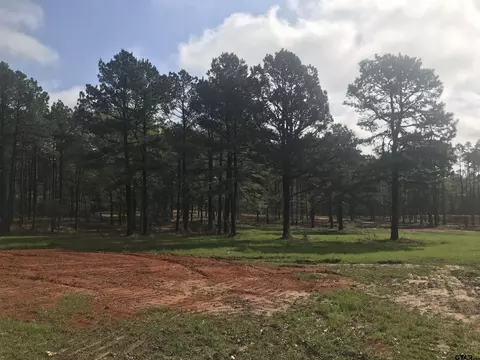 9561 Locust Rd, Big Sandy, TX 75755 photo 14