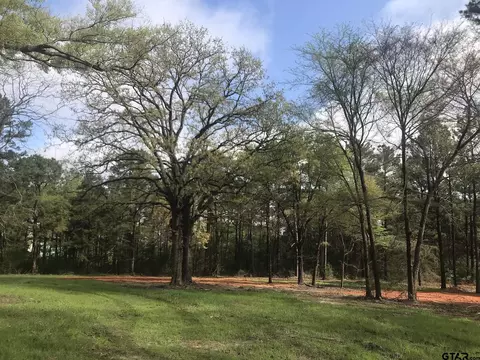 9561 Locust Rd, Big Sandy, TX 75755 photo 1