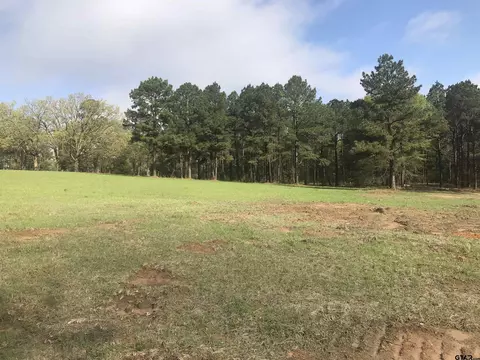 9561 Locust Rd, Big Sandy, TX 75755 photo 6