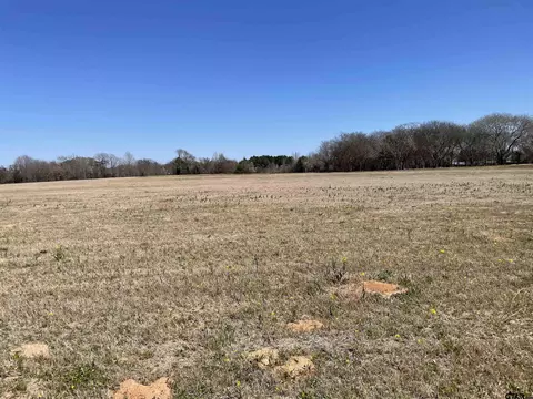 lot2 Tompkins Ests, Chandler, TX 75758