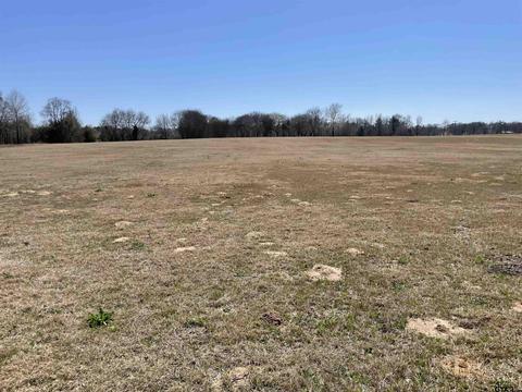 lot4 Tompkins Ests, Chandler, TX 75758