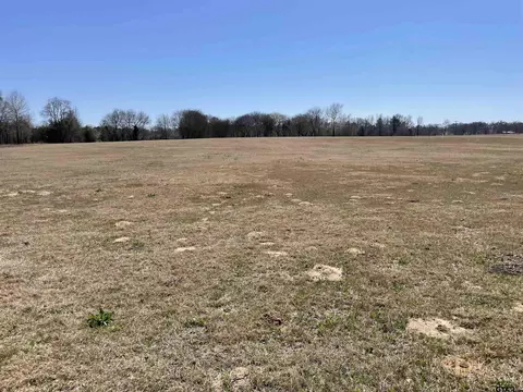 lot4 Tompkins Ests, Chandler, TX 75758