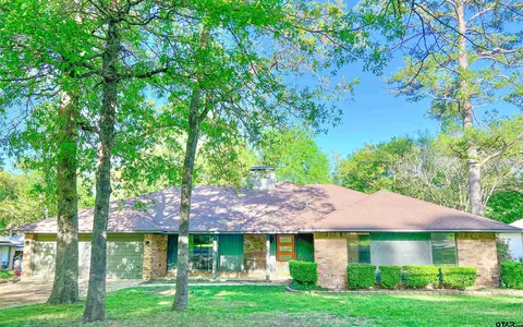419 Hideaway Ln E, Hideaway, TX 75771 photo 1