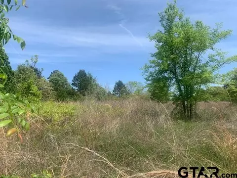 tbd Wild Country Dr, Flint, TX 75762