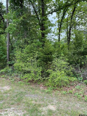 tbd Starleaf Ln, Holly Lake Ranch, TX 75765