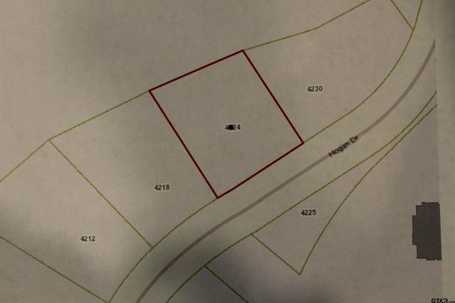 4224 Hogan Dr, Tyler, TX 75709