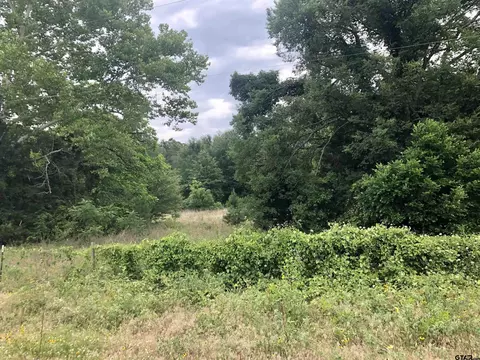 15106 Cr 384, Tyler, TX 75708