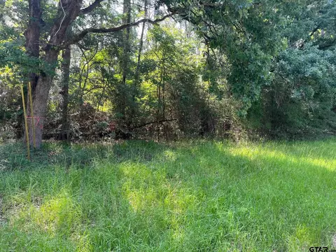 lot12 13 Tram Rd, Crockett, TX 75835