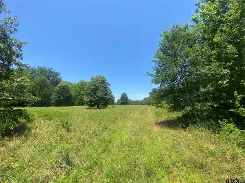 13375 S Farm Road 69, Como, TX 75431 photo 12