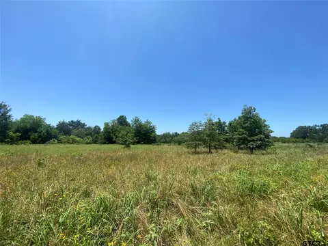 13375 S Farm Road 69, Como, TX 75431 photo 15