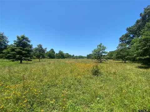 13375 S Farm Road 69, Como, TX 75431 photo 13