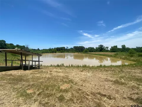13375 S Farm Road 69, Como, TX 75431 photo 3