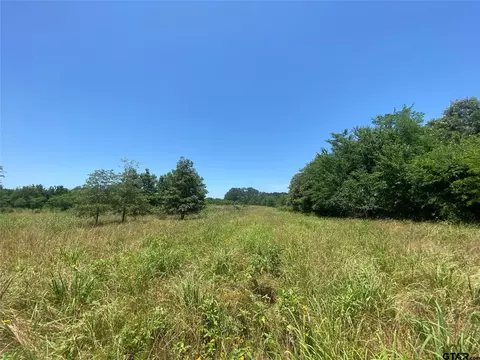 13375 S Farm Road 69, Como, TX 75431 photo 14