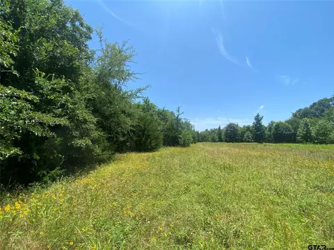 13375 S Farm Road 69, Como, TX 75431 photo 19