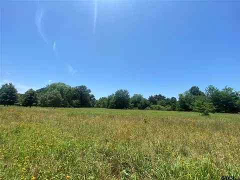 13375 S Farm Road 69, Como, TX 75431 photo 16