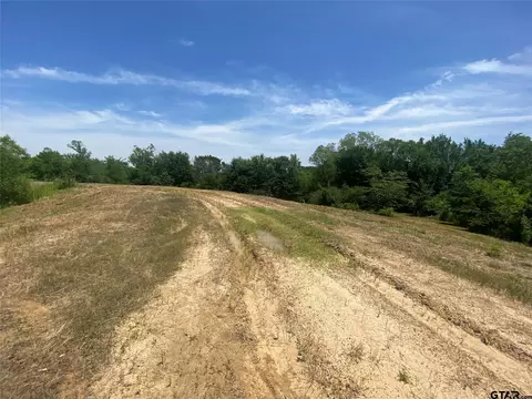 13375 S Farm Road 69, Como, TX 75431 photo 4