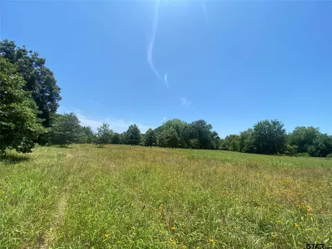 13375 S Farm Road 69, Como, TX 75431 photo 17