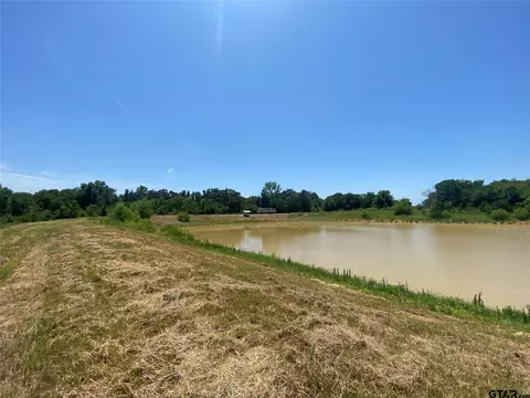 13375 S Farm Road 69, Como, TX 75431 photo 5