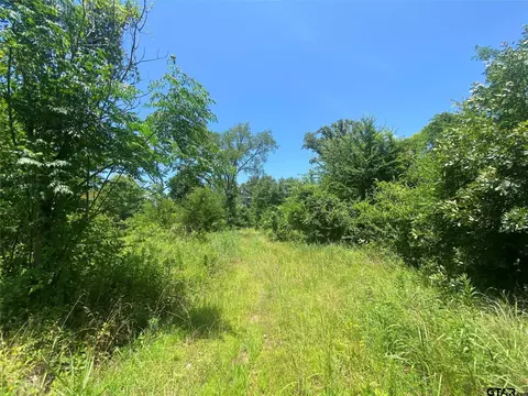 13375 S Farm Road 69, Como, TX 75431 photo 9