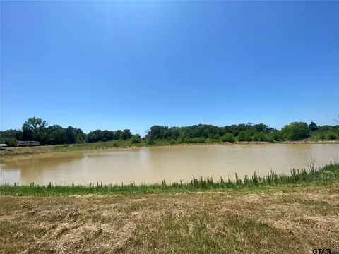 13375 S Farm Road 69, Como, TX 75431 photo 6