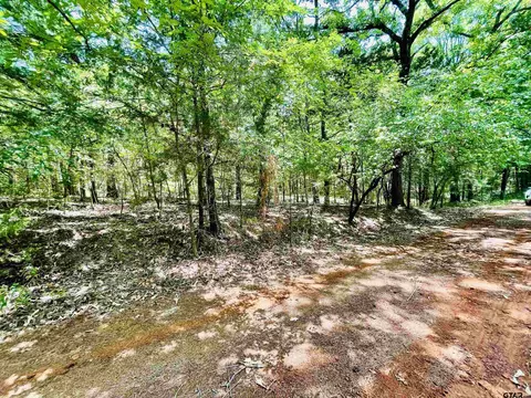 tbd Pr 6671, Hawkins, TX 75765