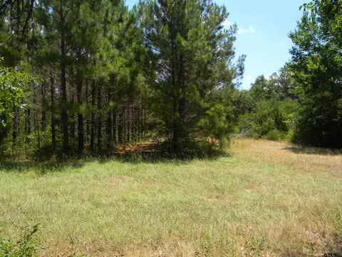 13650 N Fm 314, Brownsboro, TX 75756