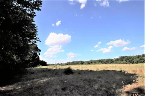 tbd Cr 1402, Point, TX 75472 photo 45
