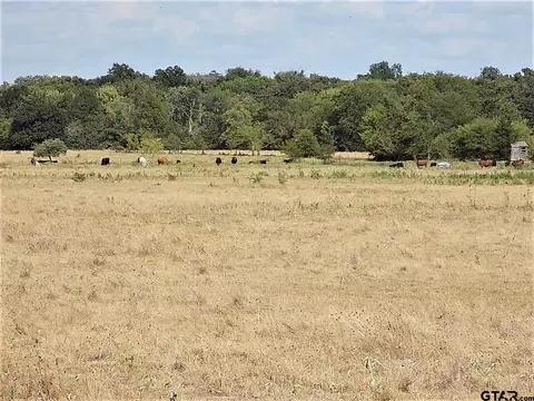 tbd Cr 1402, Point, TX 75472 photo 41