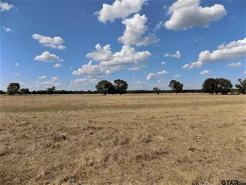 tbd Cr 1402, Point, TX 75472 photo 39
