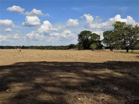 tbd Cr 1402, Point, TX 75472 photo 42