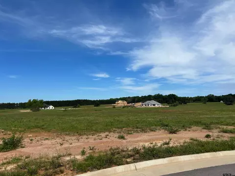 11443 Tucker Cir, Flint, TX 75762