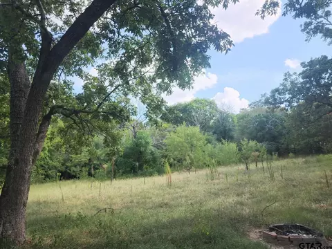 2598 County Road 376, Tyler, TX 75708 photo 16